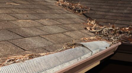 How can rain gutters protect your home or buildings?