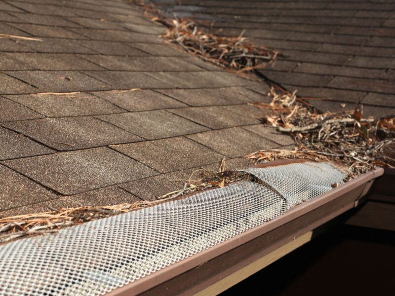 How can rain gutters protect your home or buildings?