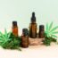 CBD Oil - Tips To Follow While Buying It Online?